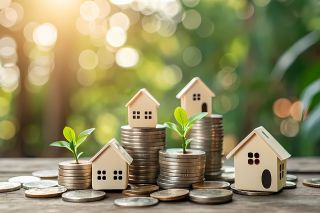 Foto: Holzhäuschen mit Münztürmen und Pflanzensprösslingen